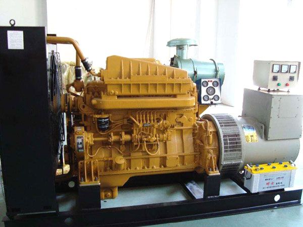 礼县有哪些有效的方法可以预防柴油发电机组的蓄电池出现硫化现象？